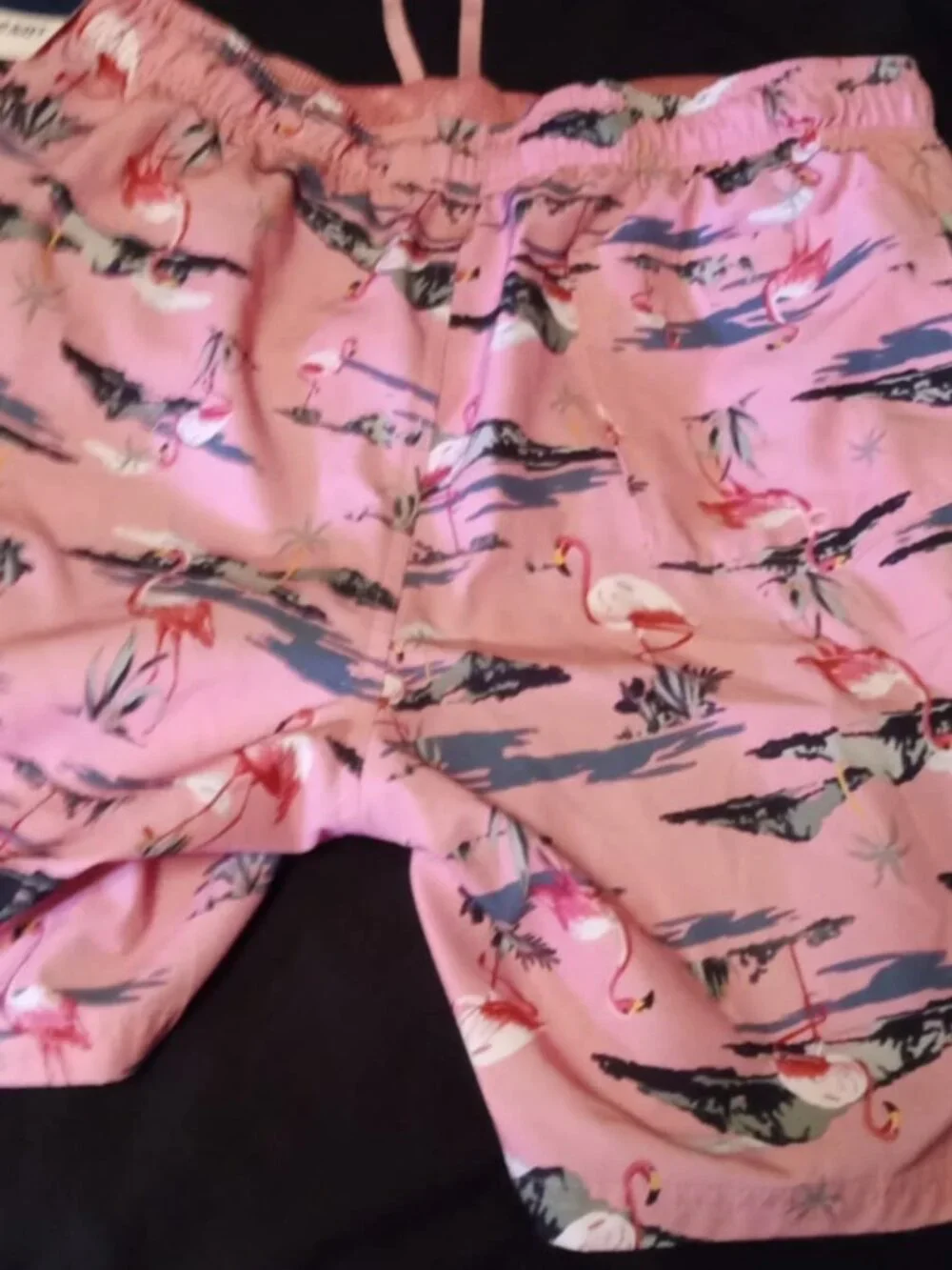 Old Navy Mens Large pink Flamingo Graphics Swim Trunks Sz Large lined - Picture 2 of 2